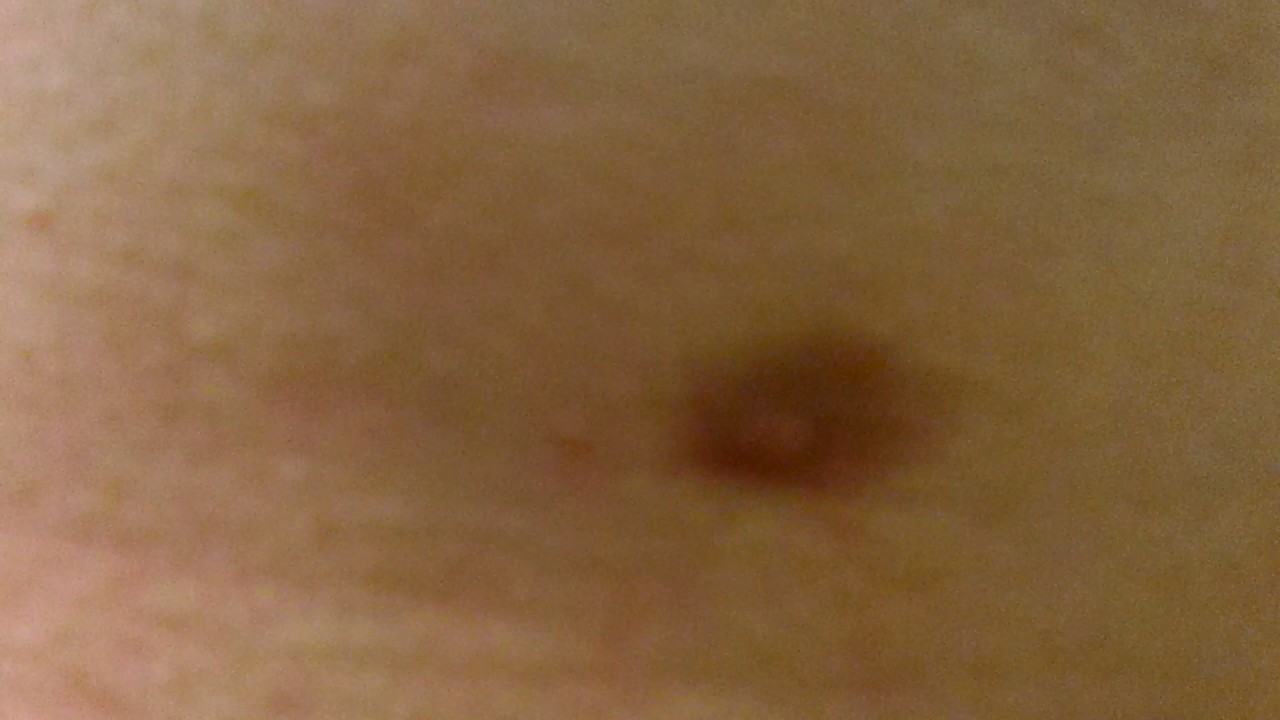 ���� ������� �� ��������� �������