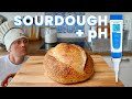 pH Meter: The Best Way to make Sourdough Bread in 2021?