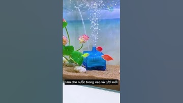 Máy Lọc Nước Tăng Oxy Tươi Cho Bể Cá Tính Năng 2 Trong 1 #aquarium #youtubeshorts