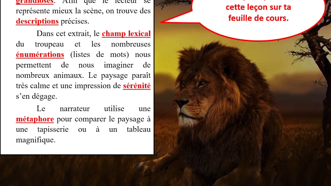 Le Lion De Joseph Kessel Résumé