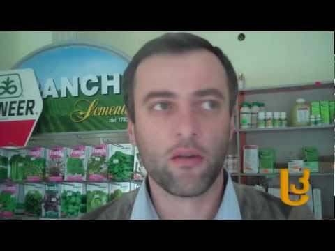 ნომინალური ბარათების განაღდება აქტიურად მიმდინარეობს [Video]