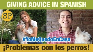 Thumbnail image for Giving Advice in Spanish | Problems with Dogs | Dar consejos