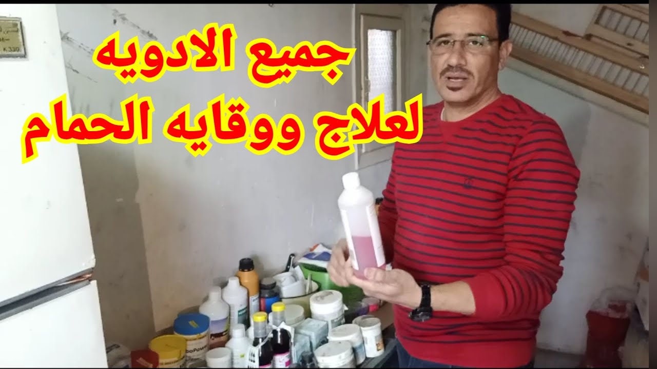 حمام المحترفين # اسطورة الزاجل الحاج مصطفى بيومى ( الوقاية وطرق العلاج ) الجزء الثانى