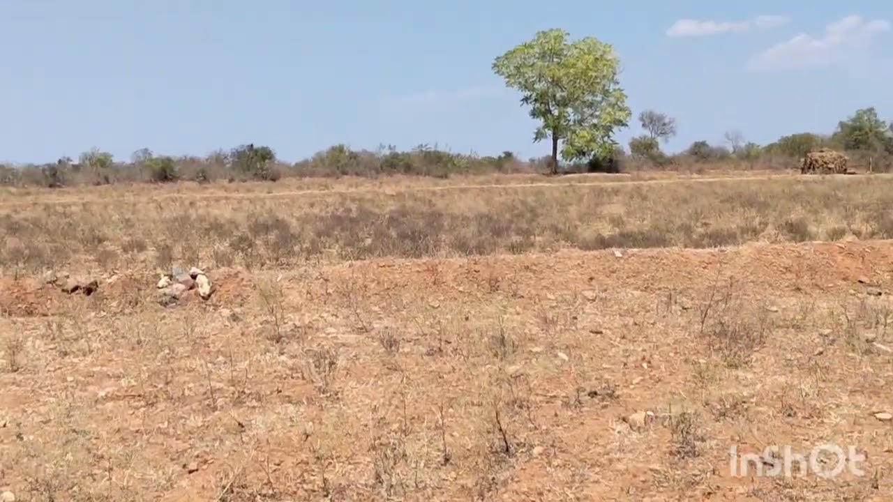 N p properties 1 acre  4 gunte pure red soil 1 acre 20 gunte karab  total 35 lakhs 6360446978 gener