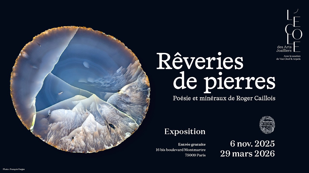 Rêveries de pierres : Poésie et minéraux de Roger Caillois