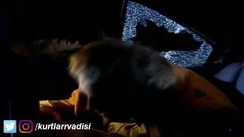 Ne Beyim Ne Efendi Çakırım Ben Çakır - Süleyman Çakır ( KURTLAR VADİSİ )