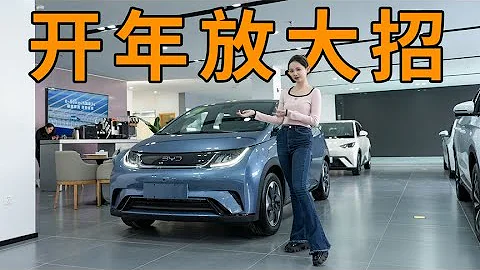 价格战再升级！实拍比亚迪海豚荣耀版，9.98万起售够香吗？ - 天天要闻