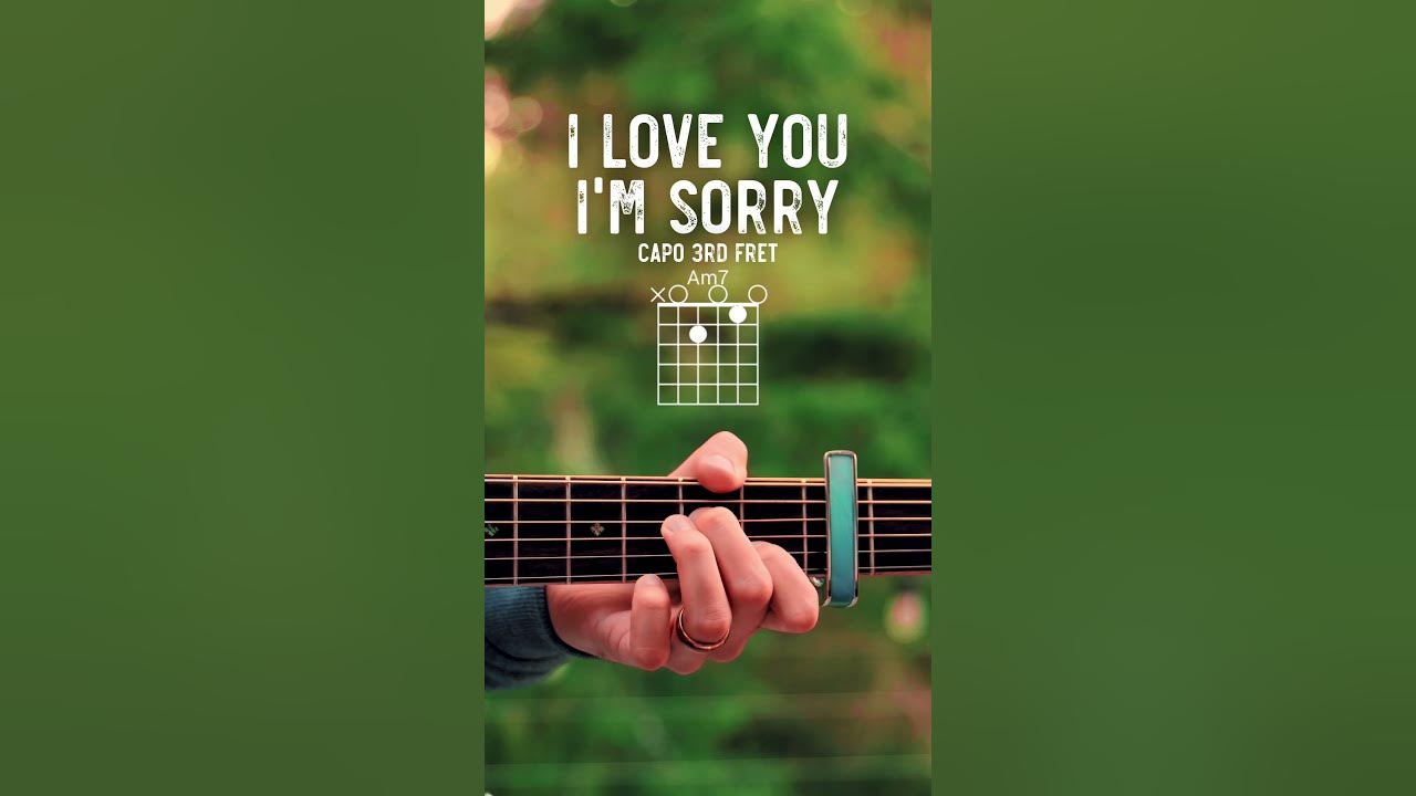 I Love You, I'm Sorry Gracie Abrams Guitar Tutorial // I Love You, I'm Sorry Guitar Lesson