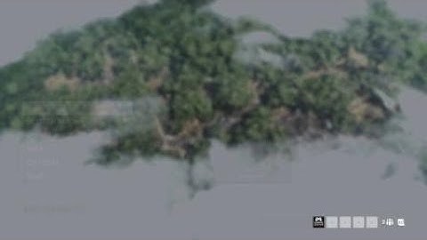 Battlefield 1 Hacker or Glitch