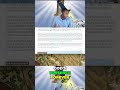 The Rapture: A Glorious Event to Long For! #shorts