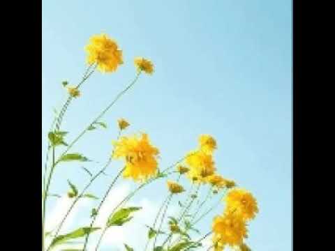 [TJ노래방라운지] Oh!(Japanese Ver.) - 少女時代