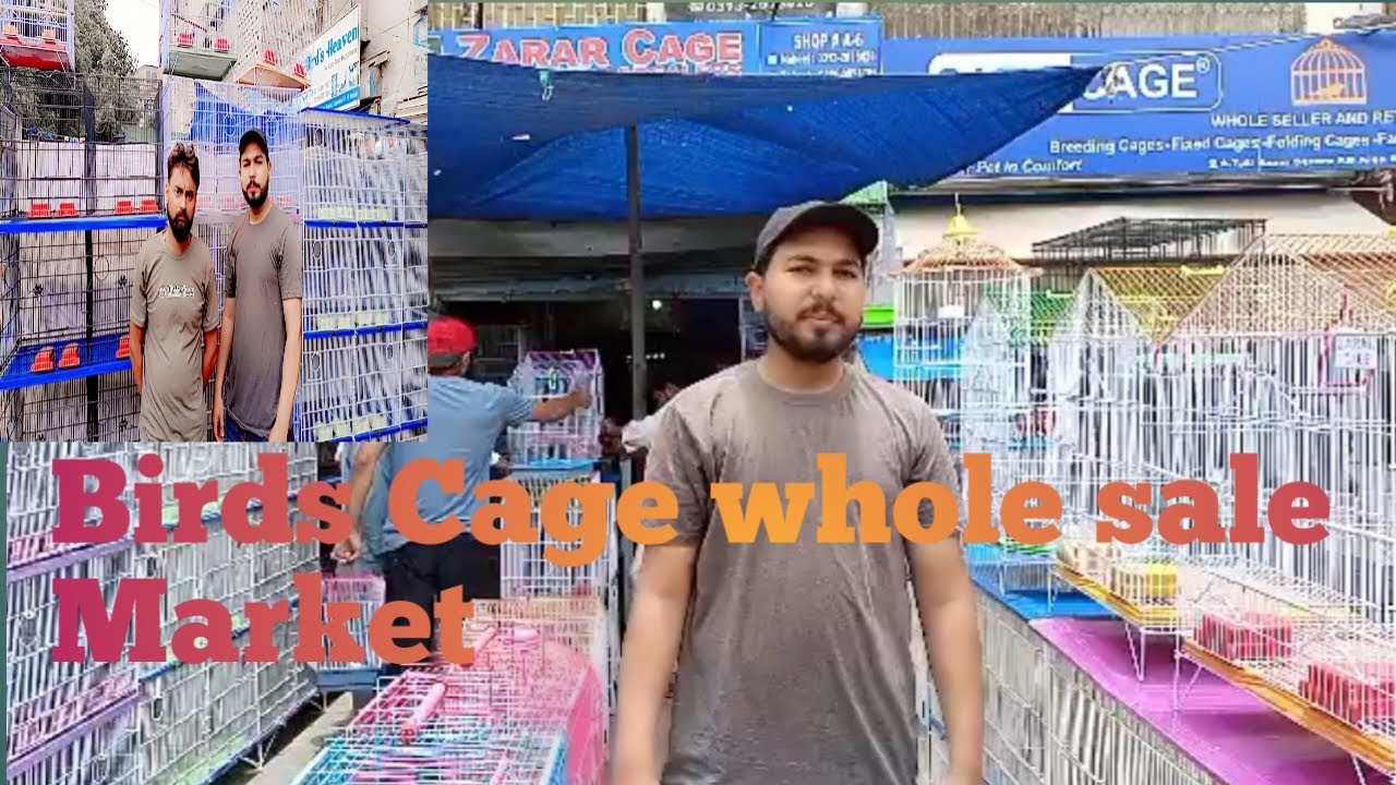 new cage price update 2023cage shop in karachiSharoze birds vlogs