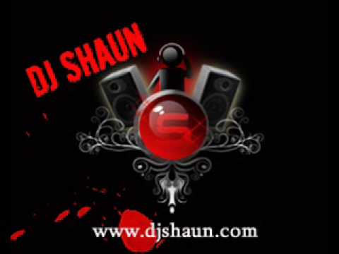 TAMIL REMIX   Aatama Therottama Electro Mix by DJ Shaun