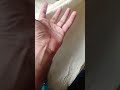 machhar Ko pakdane Ka Tarika very funny