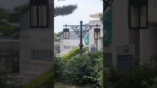 충남부여 #가볼만한곳#travel국립박물관