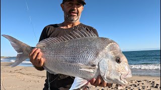 Snapper from the Beach, Drone fishing vs Casting Perth wa