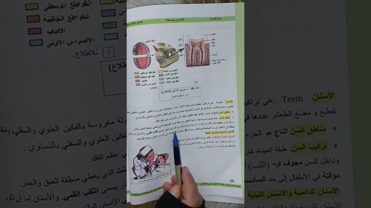 #تلخيص #احياء #للصف الثالث متوسط الفصل الثاني الجهاز الهيكلي تلخيص وزاري مهم 🔥