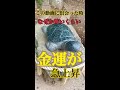 この動画を見ると怖いくらい金運上昇♪【酒列磯前神社】奇跡の宝くじ総額３０億円越え当選の金運神社【オンライン参拝】#shorts