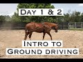 Day 1 and 2 Introducing Ground-Driving