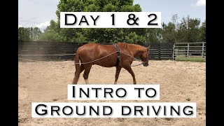 Day 1 and 2 Introducing GroundDriving