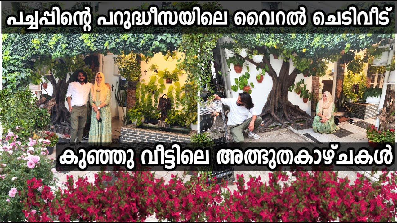 വൈറല്‍ ചെടി വീടായ പച്ചപ്പിന്‍റെ പറുദീസ| ജോണിന്‍റെ അത്ഭുതലോകം കണ്ടില്ലേ പിന്നെന്തു മലയാളി Grean House