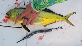 Simple and Easy Way to Catch Mahi Mahi in the Florida Keys and the Crazy Big Baits they were Eating