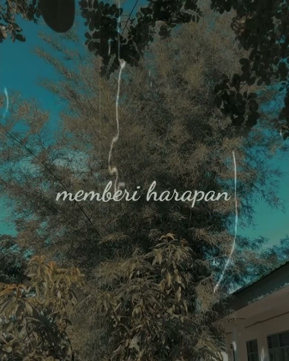 Story Wa  cerita kita