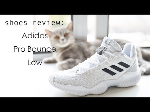 不负责球鞋评测：Adidas Pro Bounce Low - YouTube