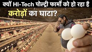 Automated Broiler Layer Poultry Farm Business plan Farm Karnal india मुर्गी पालन लोन जानकारी