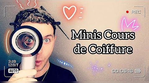 Comment Dit-on cheveux en langage familier ?