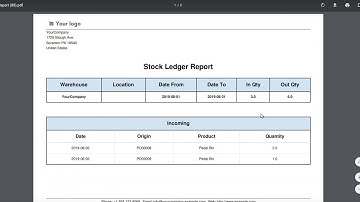 Stock Ledger Incoming & Outgoing Report