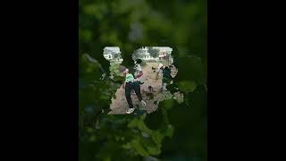 Celebrating S 1St Anniversary With Ytds Green Initiative