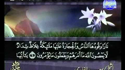 سورة التحريم كاملة الشيخ سعد الغامدي