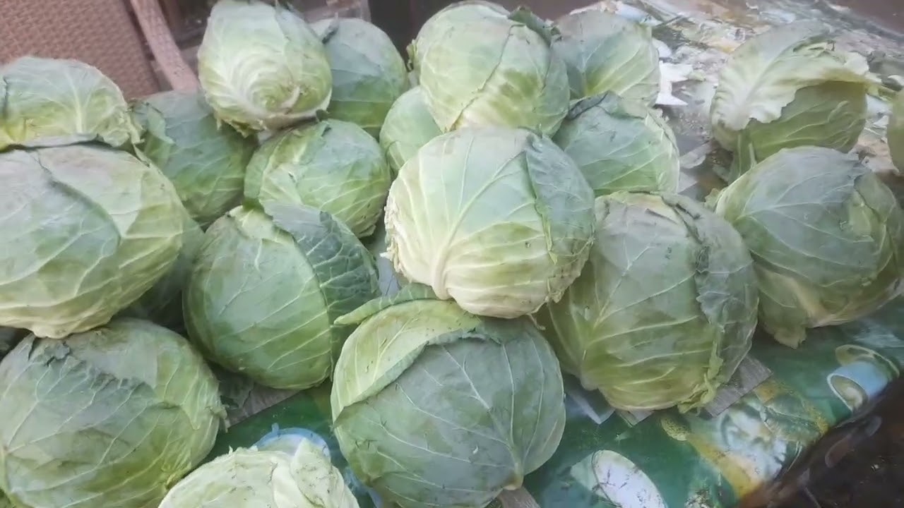 persiduta suparata foc pe soacra ei flutura cum o povestete de rau