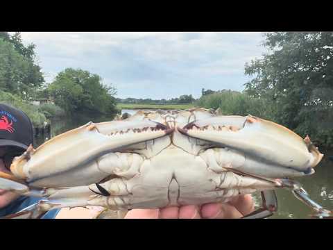 Crabbing New Jersey - Roadside Creek