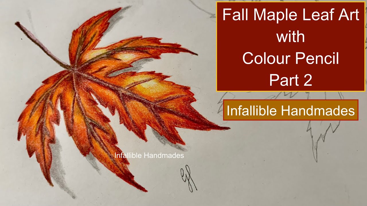 How to Draw a Realistic Fall Maple Leaf with Coloured Pencils | Part 2 ...