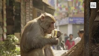 Top 10 Travel Destinations For 2019