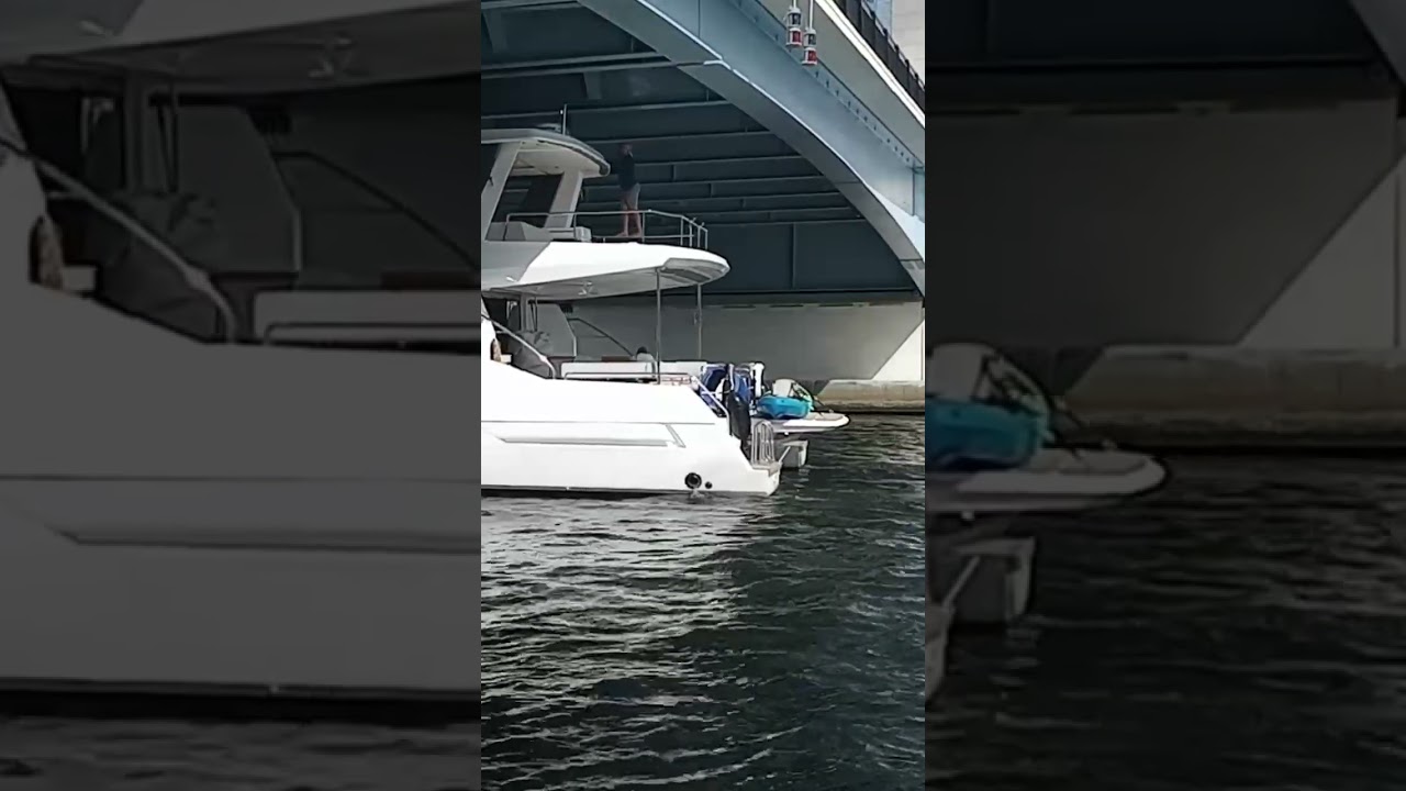 Miami Live Short Video 