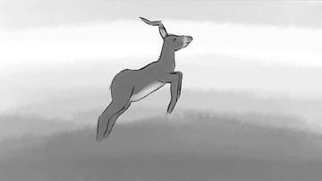 CGT 341 Project Animatic