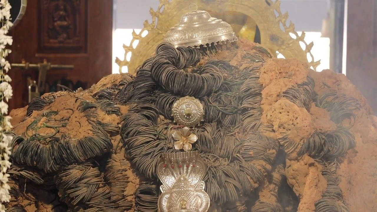 Shree Vadanbailu padmavathi devi mahamangalarathi mulastana date 25-11-2025💐🌼🏵️🌸🌹