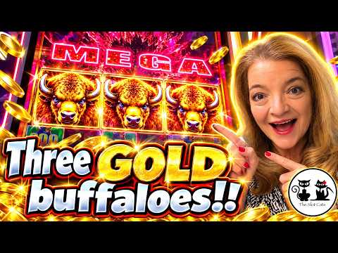 How the Slot-of-the-Week Promotion Works