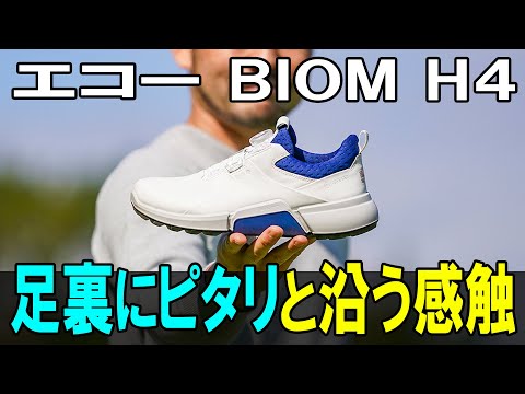 黄色い薔薇_ECCO BIOM HYBRID 4 BOA ゴルフシューズ Testing the ECCO BIOM HYBRID 4 BOA: 