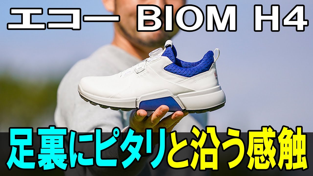 エコー　バイオム　ハイブリッド4  23.5cm ecco BIOM レディース