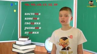 Русский язык.Правописание слов с мягким знаком Русский язык.Правописание слов с мягким знаком