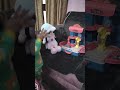 dekho dadi kya lai.. reyansh gouri ke new toys❤️🥰#shortvideo #cutebaby #youtubeshorts #cute #love