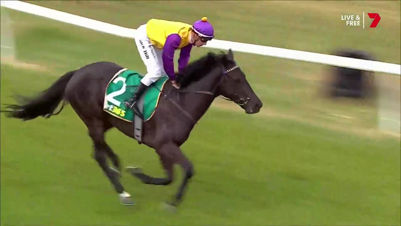 2024 DRC DUNKELD Cup