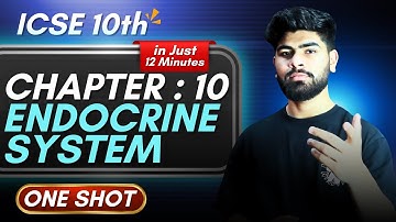 Biology Chapter 10 Endocrine System One Shot - in 12 Minutes || ICSE Class 10 || ICSE Biology