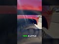Advanced 4Runner Mod: Fender Clearance for 285 Tires!