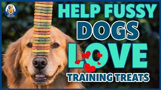 Structure Your Dog Training To Create Food Drive In Your Treat Fussy Dog #271 #podcast by Dogs That 3,041 views 8 days ago 17 minutes