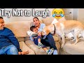 My Friends Who are Scared of a Dog Meets Buddy for the First Time | Too Funny 😂